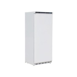 Armoire réfrigérée positive 1 porte blanche Polar Série C 600L CD614 Polar