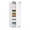 Armoire réfrigérée négative Polar Série C 600L CD615 Polar
