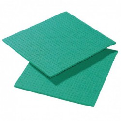 Lavettes Spongyl vertes (Lot de 10) CD814 Sans Marque
