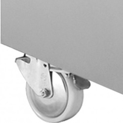 Armoire de congélation ventilée 700 Lit. 1 porte GN 2/1 sur roues Diamond IE70/R2