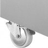 Armoire de congélation ventilée 700 Lit. 1 porte GN 2/1 sur roues Diamond IE70/R2