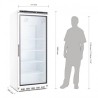 VITRINE RÉFRIGÉRÉE POSITIVE 600L POLAR SÉRIE C CD088