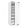 Armoire réfrigérée négative Polar Série C 600L CD615 Polar