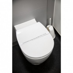 Bandelettes sanitaires pour l'hygiène des toilettes (lot de 250) CG862 Sans Marque