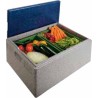 BOITE ISOTHERME EN POLYPROPYLENE EXPANSE, AVEC  12643 L2G
