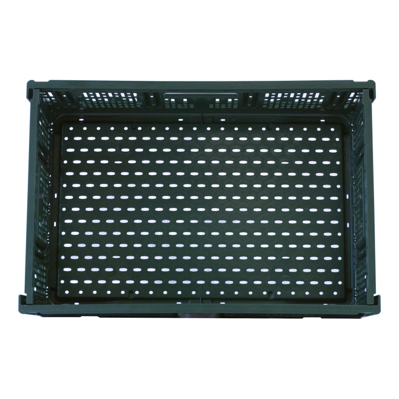 CAISSE VERTE PLIABLE POUR FRUITS ET LEGUMES, PEHD 1600/43 L2G CAISSE VERTE PLIABLE POUR FRUITS ET LEGUMES, PEHD 1600/43 L2G