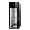 ARMOIRE REFRIGEREE DE MATURATION DE VIANDE 0/+4°C 461-1055 L2G
