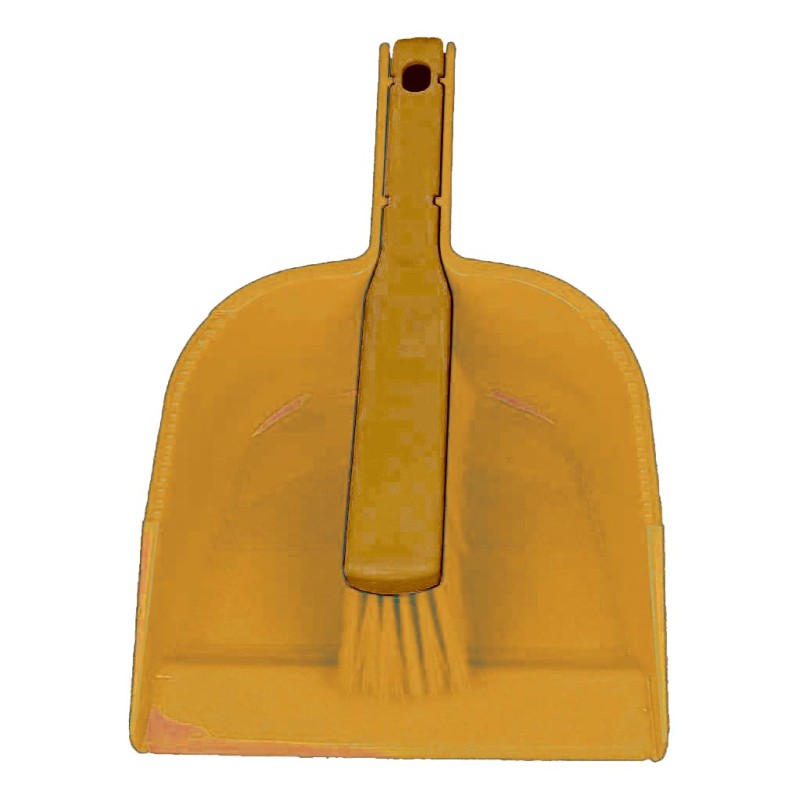 KIT DE NETTOYAGE (PELLE + BALAYETTE), RESISTANCE 556J L2G