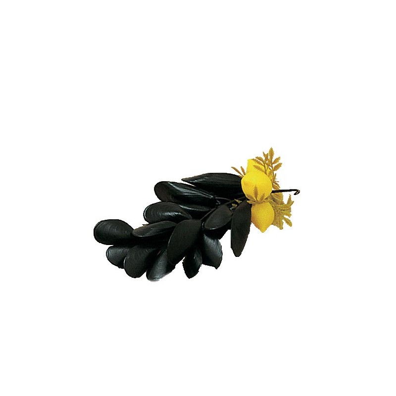 GRAPPES DE MOULES AVEC CITRON 81050 L2G GRAPPES DE MOULES AVEC CITRON 81050 L2G