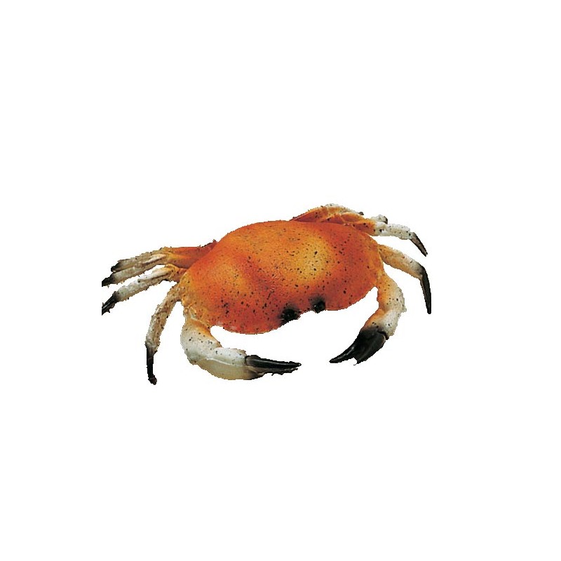 CRABE FACTICE PETIT MODELE 81861 L2G CRABE FACTICE PETIT MODELE 81861 L2G