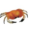 CRABE FACTICE PETIT MODELE 81861 L2G