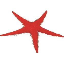 LOT DE 2 ETOILES DE MER FACTICES 81862 L2G