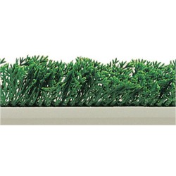SEPARATION FEUILLAGE CYPRES SOCLE BLANC 55X750 83367 L2G