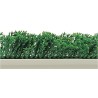 SEPARATION FEUILLAGE CYPRES SOCLE BLANC 55X750 83367 L2G