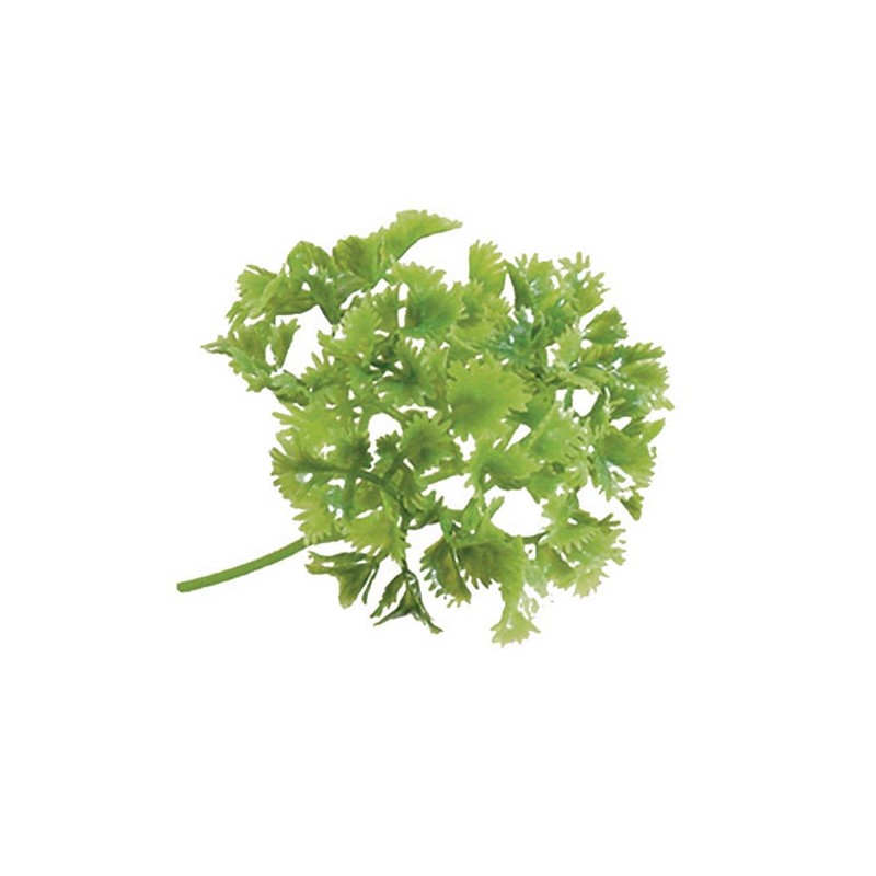BOTTE DE PERSIL (PAQUET DE 12 PCS) 84485 L2G BOTTE DE PERSIL (PAQUET DE 12 PCS) 84485 L2G