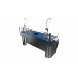 COMBINE DE PREPARATION POISSON DOUBLE POSTE CPDP2000 L2G
