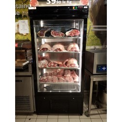 CAVE DE MATURATION DE VIANDE, EXTERIEUR ALU, DMAT21 L2G