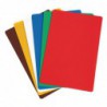 Ensemble de planches à découper flexibles Hygiplas 300mm CP520 Hygiplas