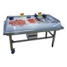 MODULE D'ANIMATION POISSON ROULANT INOX 304, MODA1500 L2G