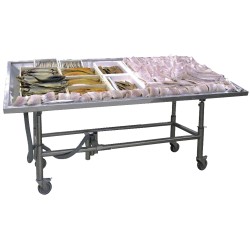 MODULE DE PRESENTATION POISSON, INOX 304, MODP1100 L2G