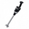 Mixeur plongeant Waring Big Stix WSB50CK CR525 Waring