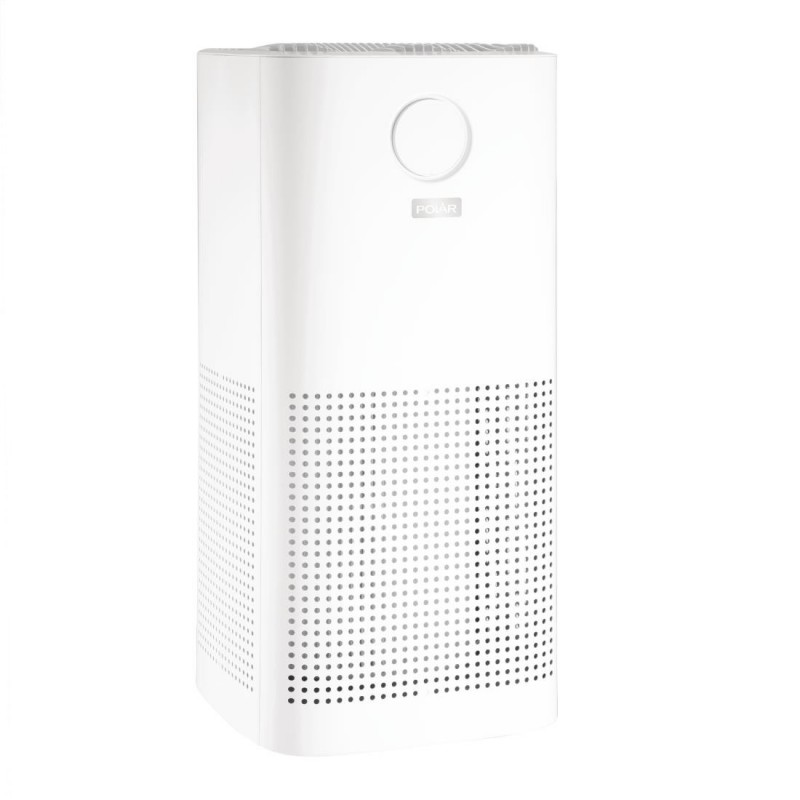 Purificateur d'air Polar DF655 Polar Purificateur d'air Polar DF655 Polar