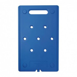 Plaque de refroidissement GN 1/1 Thermo Future Thermobox DL938 Thermo Future