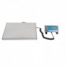 Balance Salter 60kg DP033 Salter