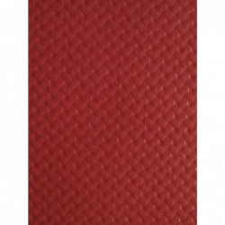 Sets de table en papier bordeaux (Lot de 500) DP196 Cogir