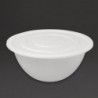 Bassine en polypropylène Schneider 6L DR543 Schneider