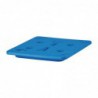 Plaque eutectique froide Cambro GN 1/2 DW572 Cambro