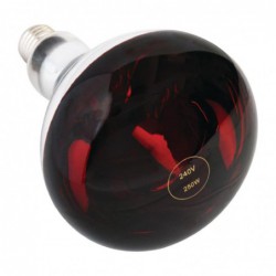 Ampoule chauffante rouge à vis 250W AG570 Sans Marque