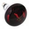 Ampoule chauffante rouge à vis 250W AG570 Sans Marque