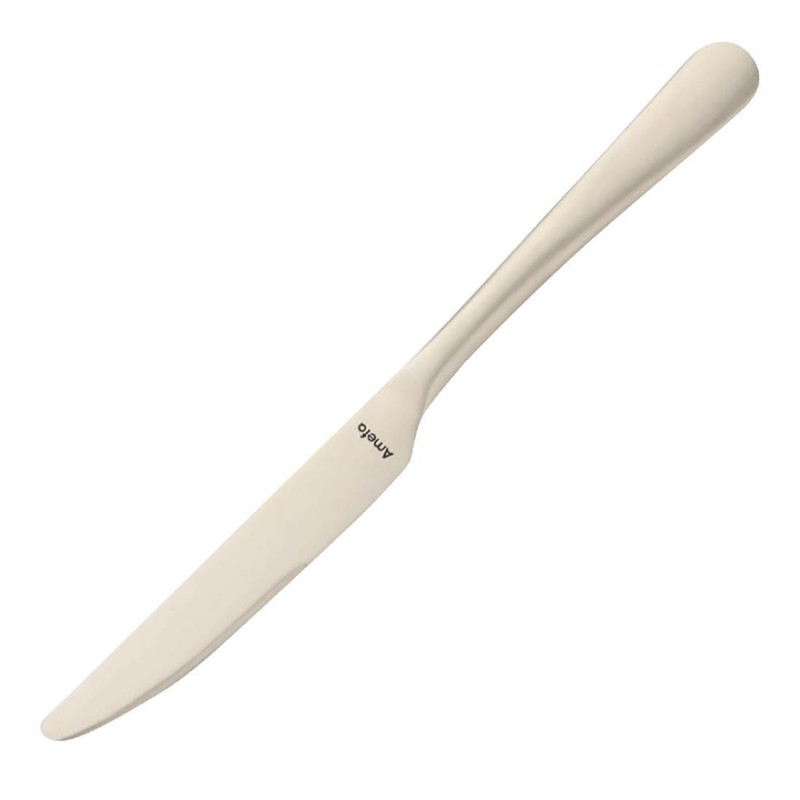 Couteaux de table Amefa Austin champagne (lot de 12) DX638 Amefa Couteaux de table Amefa Austin champagne (lot de 12) DX638 Amefa
