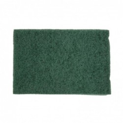 Tampon abrasif Jantex (Lot de 10) F959 Jantex