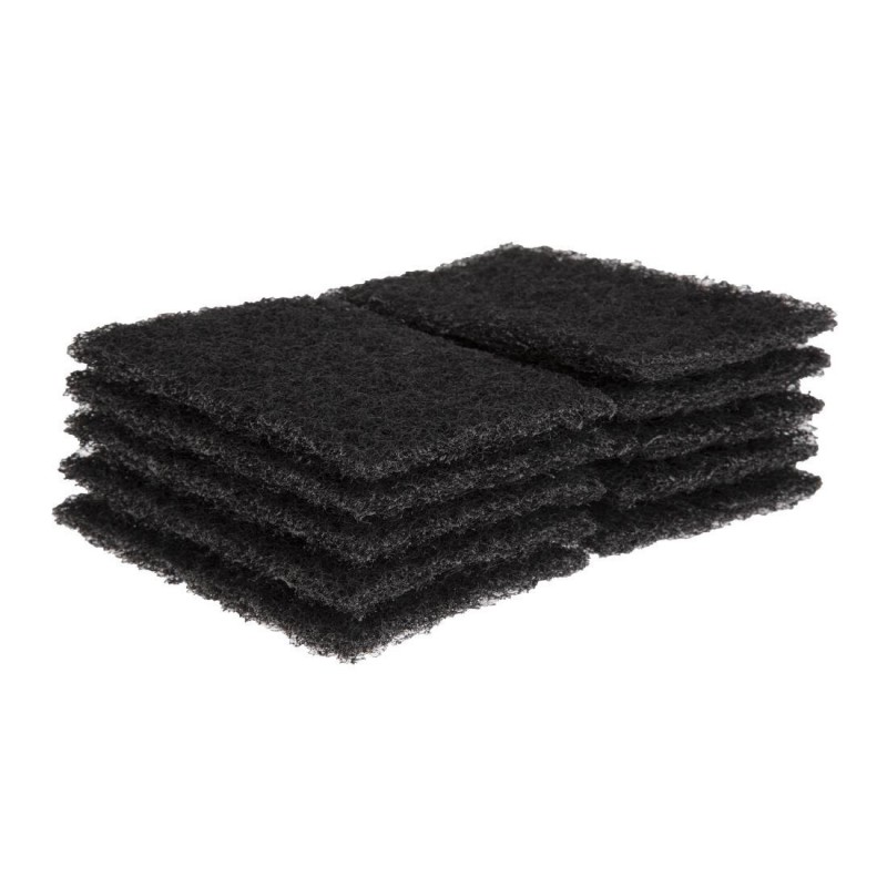Tampons abrasifs pour plaques de cuisson (Lot de 10) F962 Robert Scott
