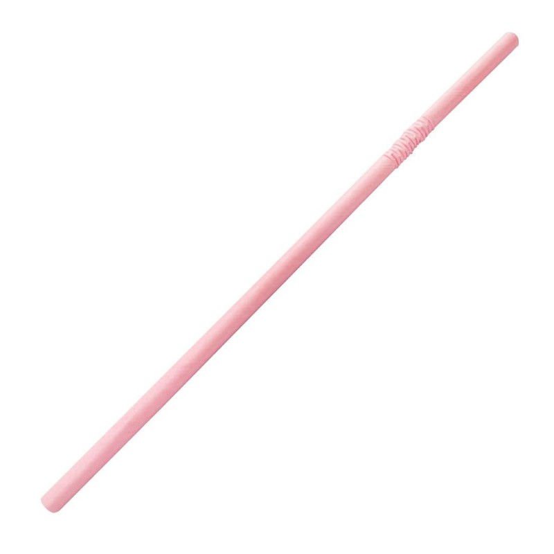 Pailles en papier flexibles compostables Fiesta Compostable roses (lot de 250) FB144 Fiesta Compostable Pailles en papier flexibles compostables Fiesta Compostable roses (lot de 250) FB144 Fiesta Compostable