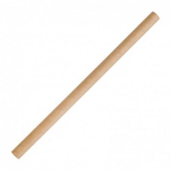Pailles à smoothie Recyclables en papier Fiesta Recyclable kraft 210mm (lot de 250) FB146 Fiesta Compostable