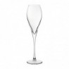 Flûtes à champagne Utopia Monte Carlo 230 ml (lot de 24) FB193 Utopia