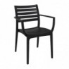 Fauteuils noirs Artemis (lot de 2) FS445 Siesta