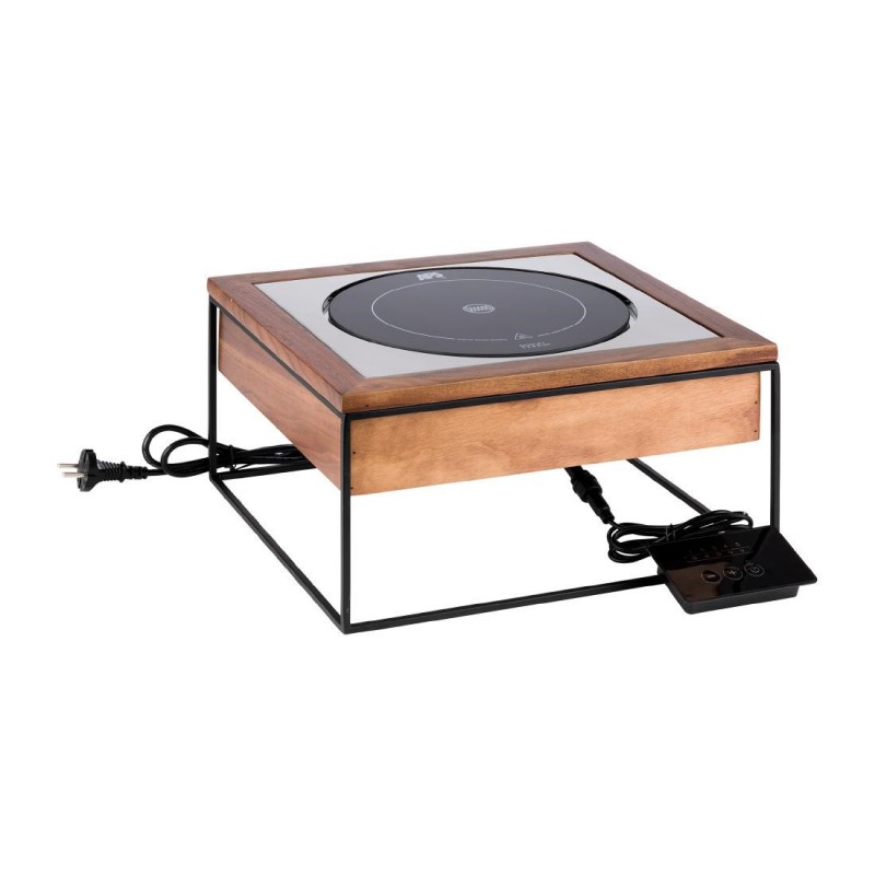 Table à induction APS 354 x 325 mm FT162 APS Table à induction APS 354 x 325 mm FT162 APS
