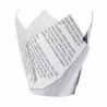 Cornets à frites antigraisse motif papier journal (lot de 1100) GK973 Chevler