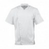 Veste de cuisinier à manches courtes Chef Works Cannes L BB669-L Chef Works