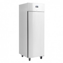 Armoire réfrigérée négative une porte économe en énergie Polar Série U 700L UA031 Polar